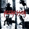 AGGRESSOR: Aggressor
