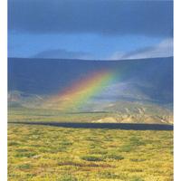 AguaSonic Acoustics : Campo Fiesta, volume 1