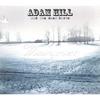 ADAM HILL AND THE DEAD BIRDS: willingness