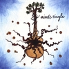 AIMÉE RINGLE: Aimée Ringle