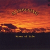 AJ DOWNING: River of Life