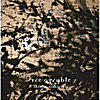 Akihoro Nishiguchi Group: Tre agrable