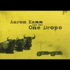 AARON KAMM AND THE ONE DROPS: Gnu-gnu