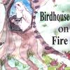 ALAN ORTH: birdhouse on fire
