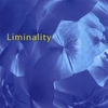 ALAN WEISMAN: Liminality