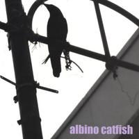 albino catfish : 5 song demo