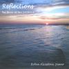 ROBIN ALCIATORE: Reflections