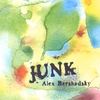 ALEX BERSHADSKY: Junk