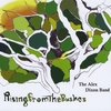 THE ALEX DIXON BAND: Rising From The Bushes