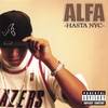 ALFA: Hasta NYC