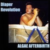 ALGAE AFTERBIRTH: Diaper Revolution The Best Of Algae Afterbirth