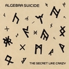 ALGEBRA SUICIDE: The Secret Like Crazy