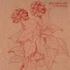 THE ALLENDER BAND: In the Grip of Light