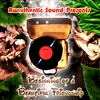 AWWTHENTIC SOUND: Beginning of a Beautiful Friendship