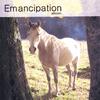 ALLICORN: Emancipation