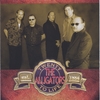 THE ALLIGATORS: 20 To Life