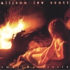 ALLISON LEE SCOTT: small & infinite