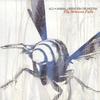 ALO - ANIMAL LIBERATION ORCHESTRA -: Fly Between Falls