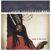 Alvin Youngblood Hart : Down In The Alley