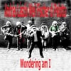 Andrs Lszl Weil Fischer diPalotta: Wondering Am I