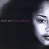 AMANDA DIVA: Never A Dull Moment