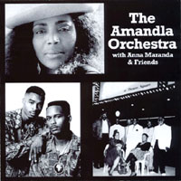 The Amandla Orchestra With Anna Maranda & Friends : The Amandla Orchestra
