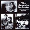 THE AMANDLA ORCHESTRA WITH ANNA MARANDA & FRIENDS: The Amandla Orchestra