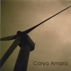 CARYA AMARA: Vestigial Digital