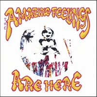 The Amazing Feelings : The Amazing Feelings Are Here