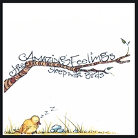 The Amazing Feelings : Sleep With Birds