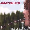 AMAZON ANT: Out of the Hole