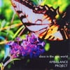Ambielance Project: Disco In the Zoo World
