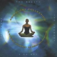 Barry Goldstein : Ambiology : A Musical Journey to Deep Relaxation: 3 Cd Set 1