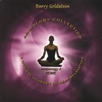 Barry Goldstein : Ambiology 4: Home