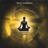 BARRY GOLDSTEIN: Ambiology 6: Genesis