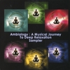 BARRY GOLDSTEIN: Ambiology Sampler