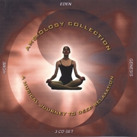 Barry Goldstein : Ambiology : A Musical Journey to Deep  Relaxation: 3 Cd Set #2
