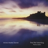 ANNE MARIE DAVID: The First Morning