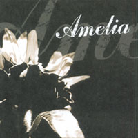 Amelia : Somewhere Left To Fall...
