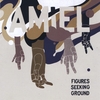 AMIEL: Figures Seeking Ground