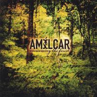 AMILCAR: Vacuuming The Forest