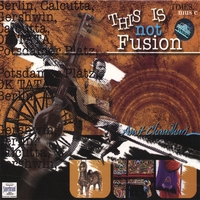 Amit Chaudhuri : This Is Not Fusion