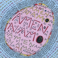AMNION: AmenNamO