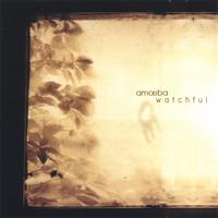 AMOEBA: Watchful
