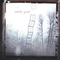 Amoeba : Pivot
