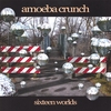 AMOEBA CRUNCH: Sixteen Worlds
