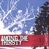 AMONG THE THIRSTY: A Very Thirsty Christmas