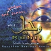 AMR ISMAIL: Rahil 1