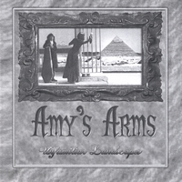 AMY'S ARMS: Unfamiliar Landscapes