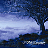 Amy Tori & Vinss-T: I Still Remember (Maxi Single)